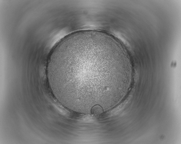 X0000094171259200711020932