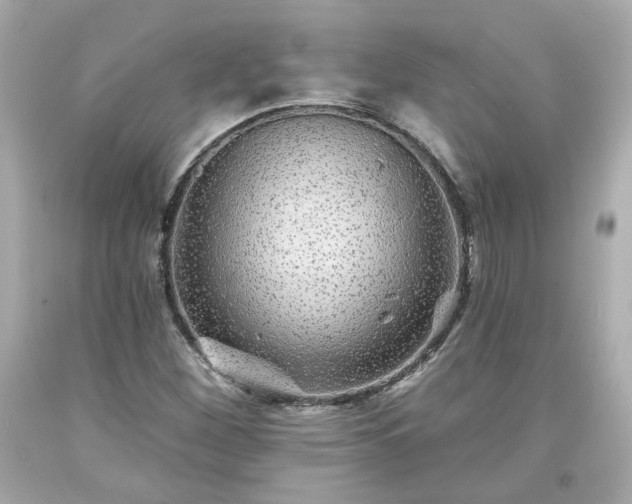 X0000094171260200711020932