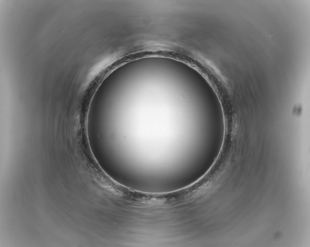 X0000094171261200711020932