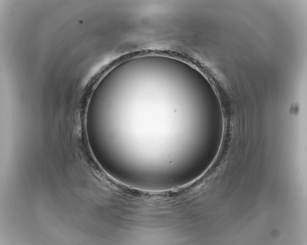 X0000094171262200711020932