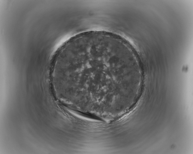 X0000094171263200711020932