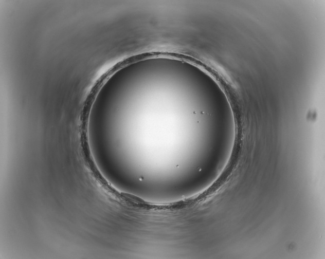 X0000094171264200711020932