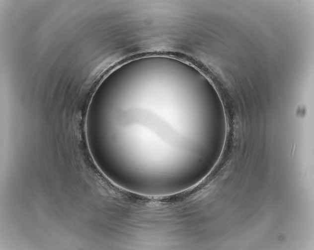 X0000094171265200711020932