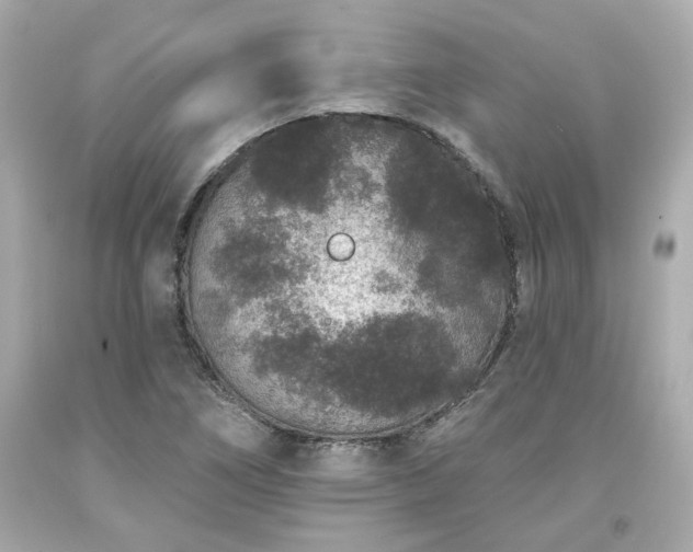 X0000094171266200711020932