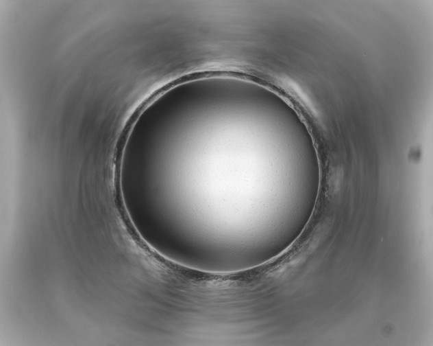 X0000094171268200711020932