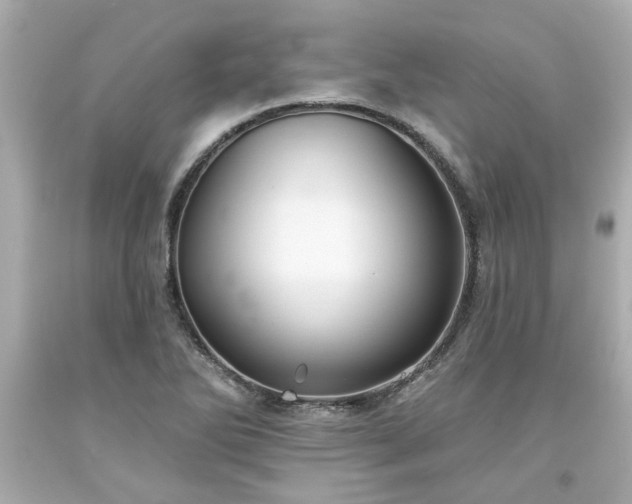 X0000094171270200711020932