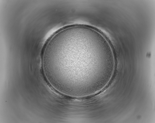 X0000094171271200711020932