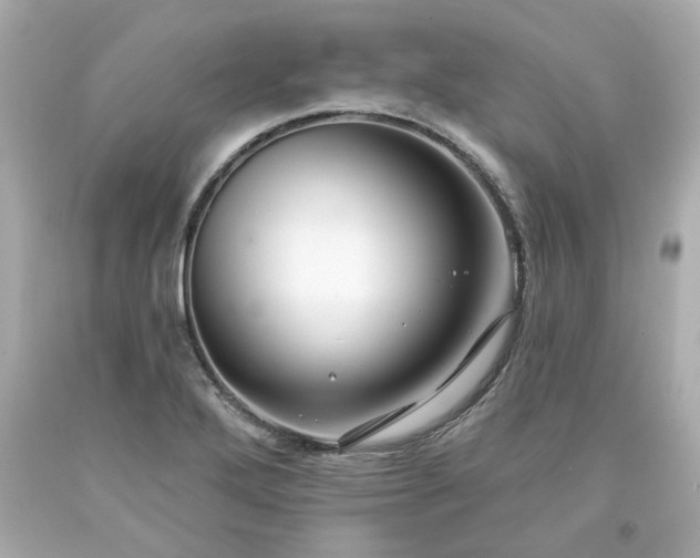 X0000094171272200711020932
