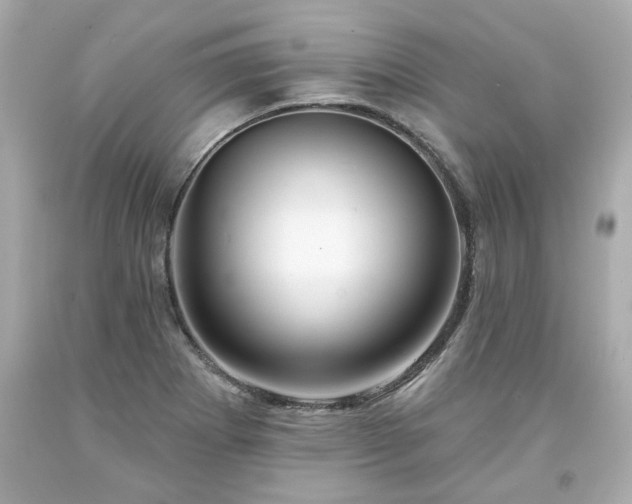 X0000094171273200711020932