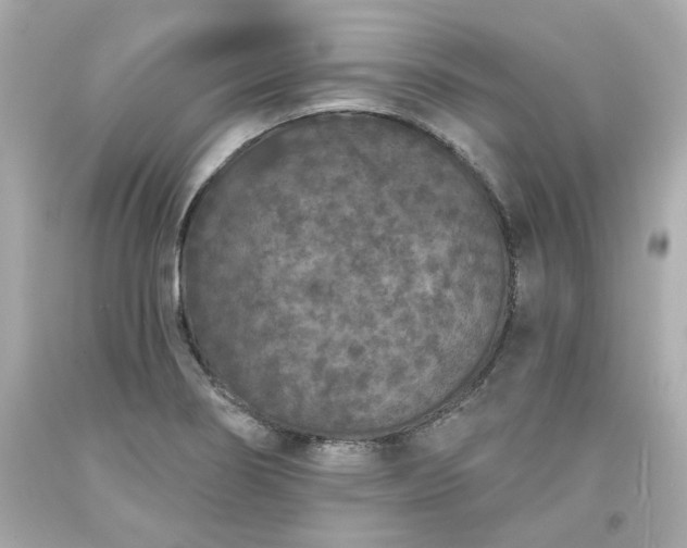 X0000094171274200711020932
