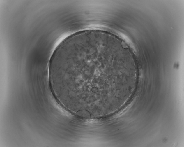 X0000094171275200711020932