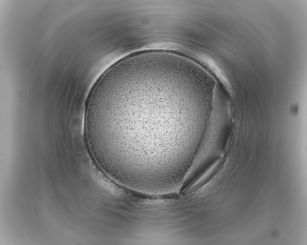 X0000094171276200711020932
