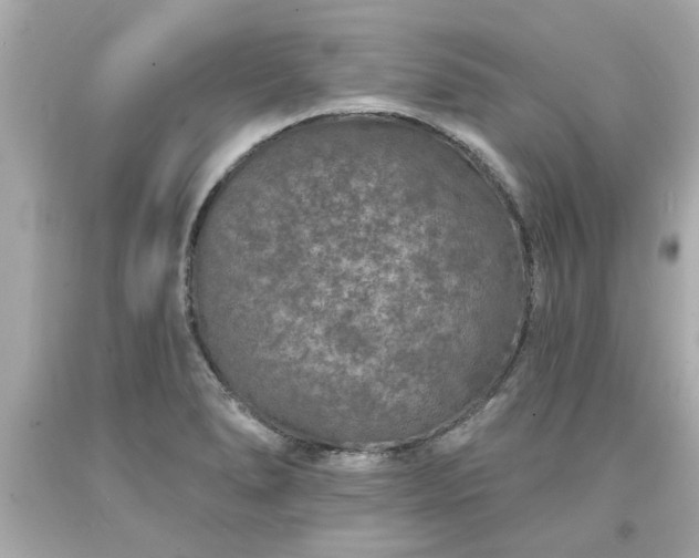 X0000094171278200711020932