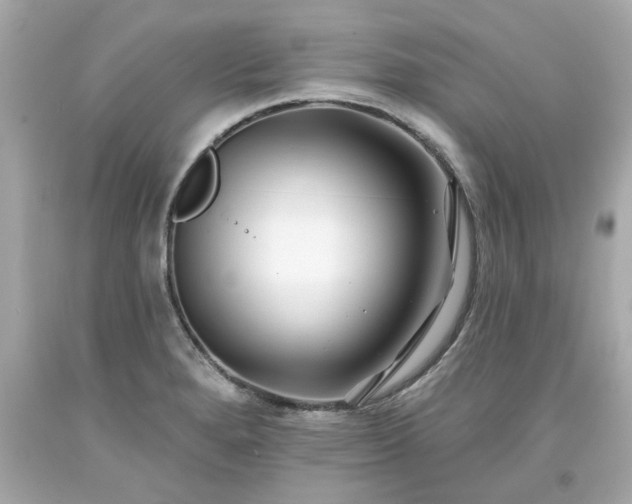 X0000094171280200711020932