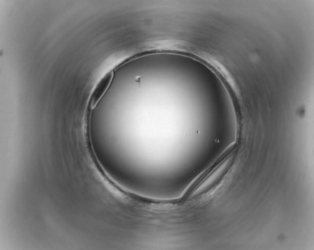 X0000094171285200711020932