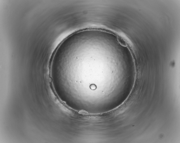 X0000094171287200711020932