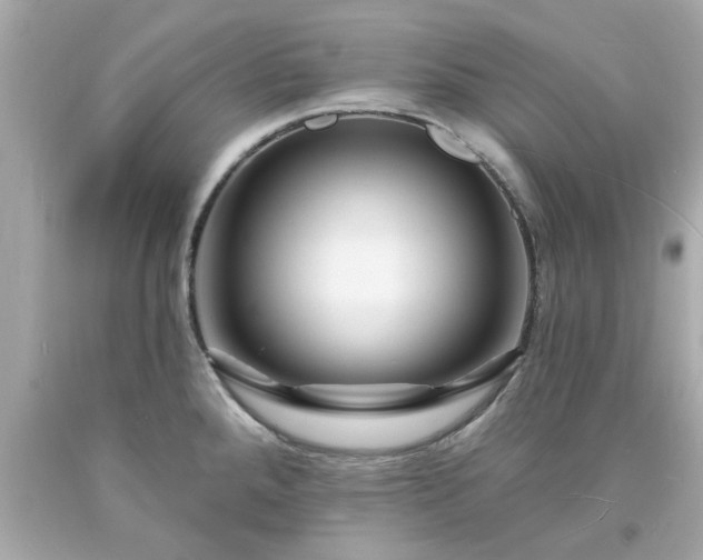 X0000094171288200711020932