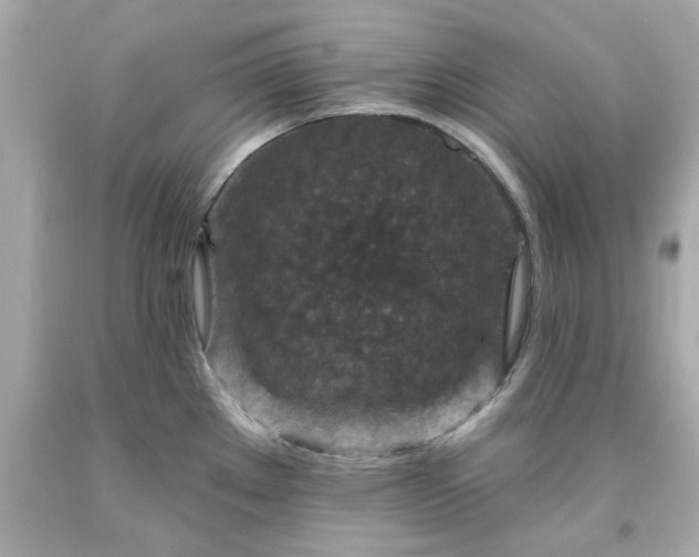 X0000094171289200711020932