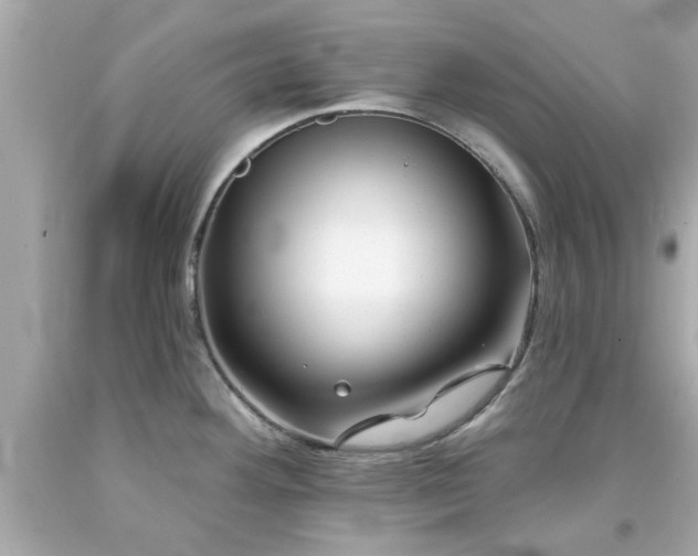 X0000094171292200711020932
