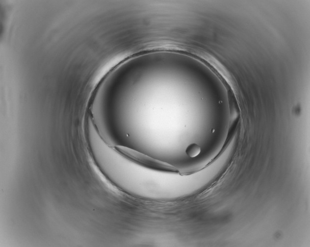 X0000094171293200711020932