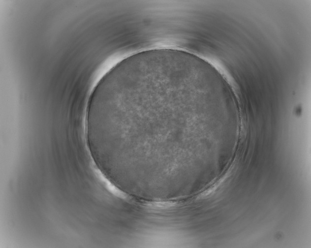 X0000094171294200711020932