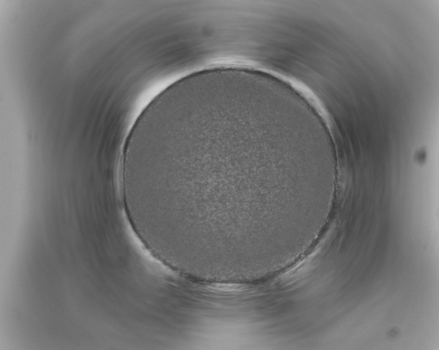 X0000094171295200711020932
