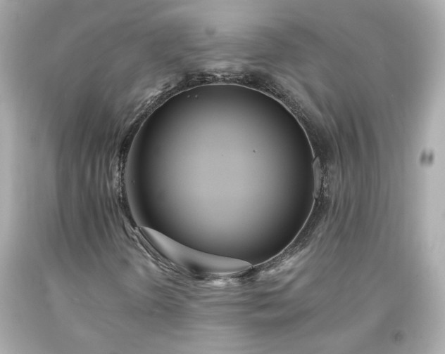 X0000094171298200711020931
