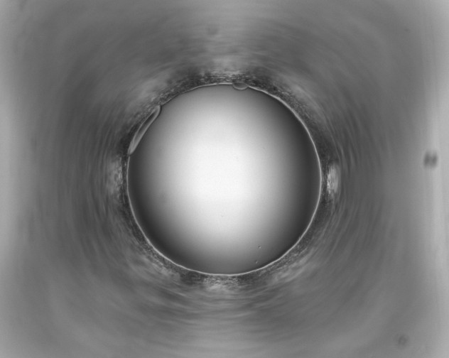 X0000094171299200711020931