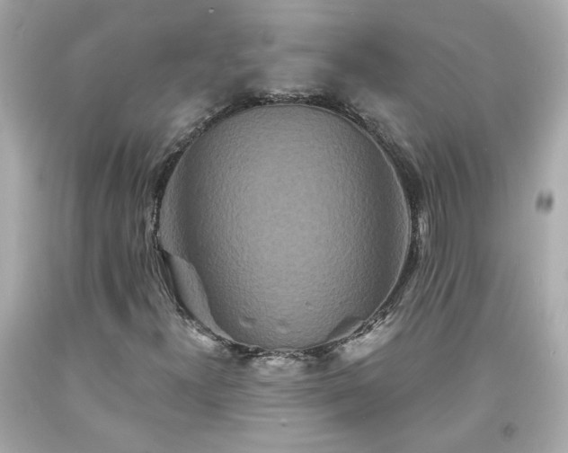 X0000094171300200711020931