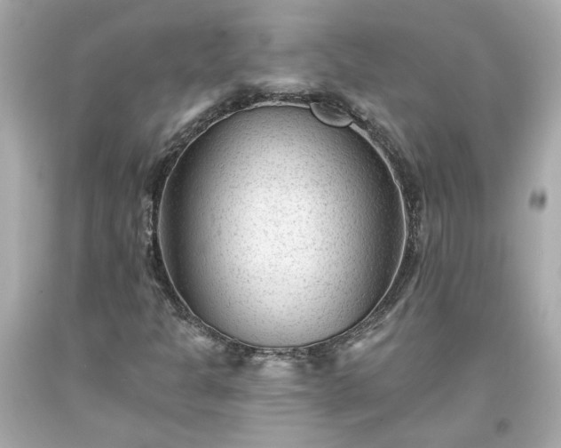 X0000094171301200711020931