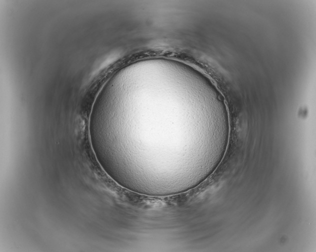 X0000094171302200711020931