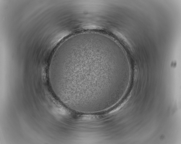 X0000094171305200711020931