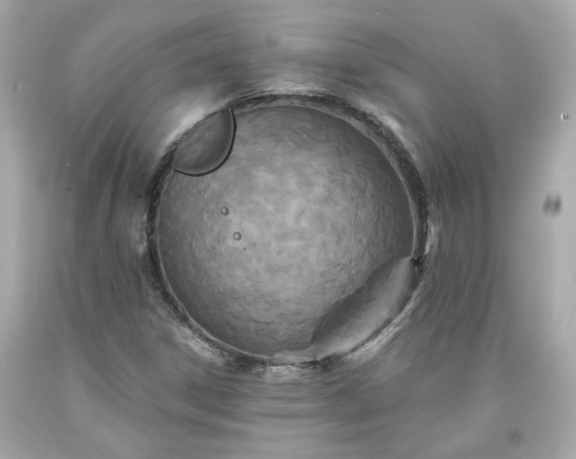 X0000094171306200711020931