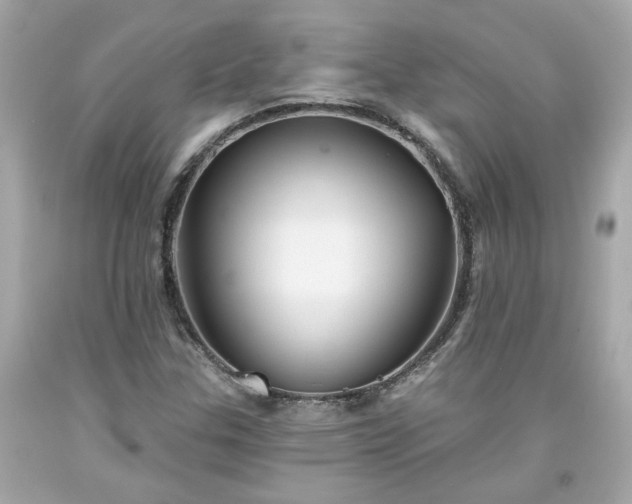 X0000094171307200711020931