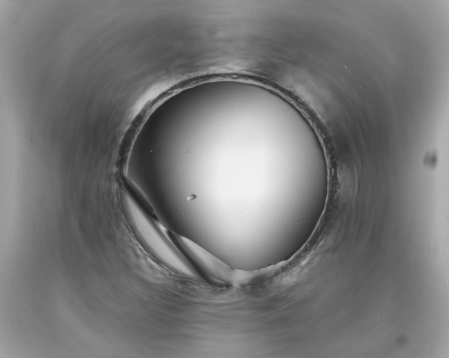 X0000094171308200711020931