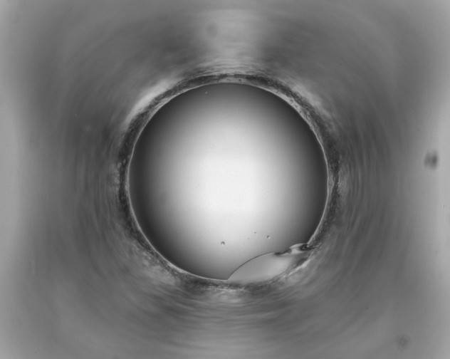 X0000094171309200711020931