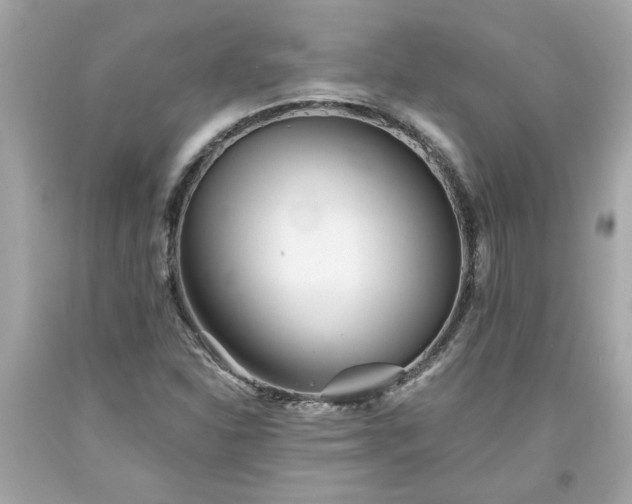 X0000094171310200711020931
