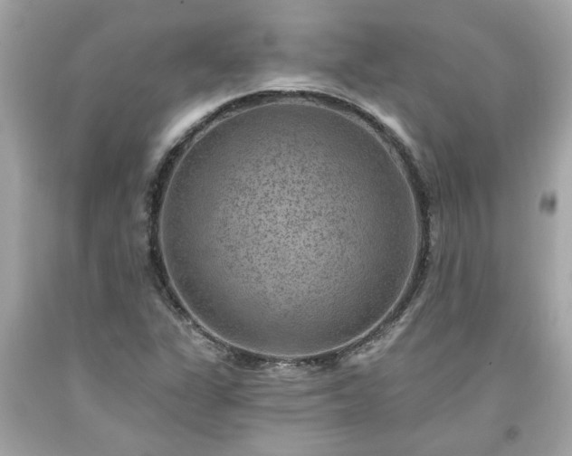X0000094171311200711020931