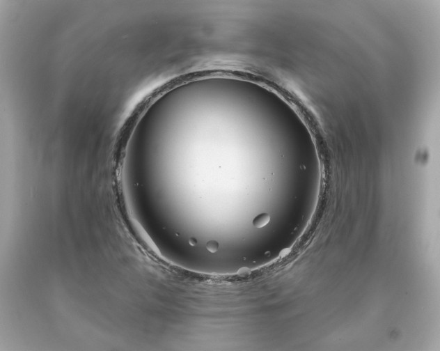 X0000094171312200711020931