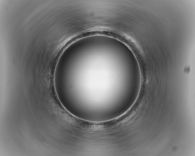 X0000094171313200711020931