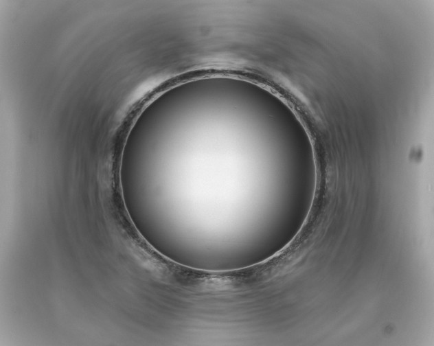 X0000094171315200711020931