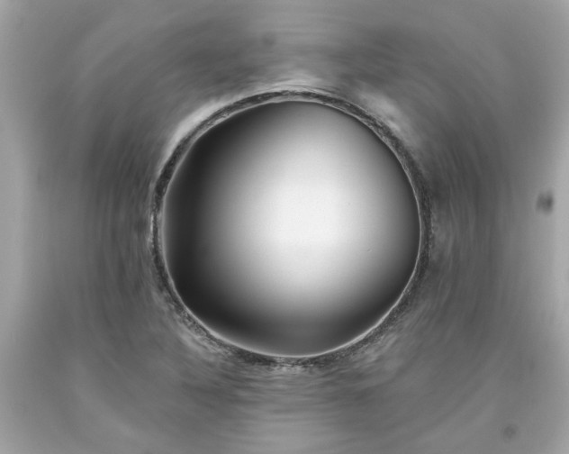 X0000094171316200711020931