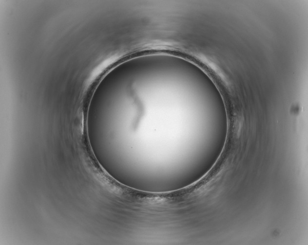 X0000094171317200711020931