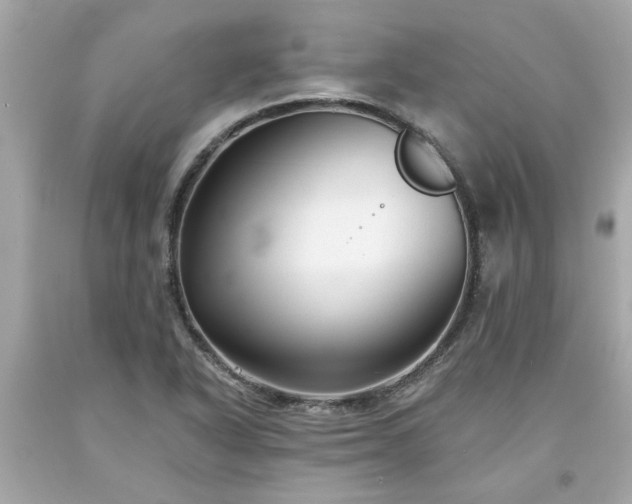 X0000094171318200711020931