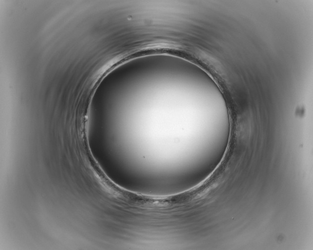 X0000094171321200711020931