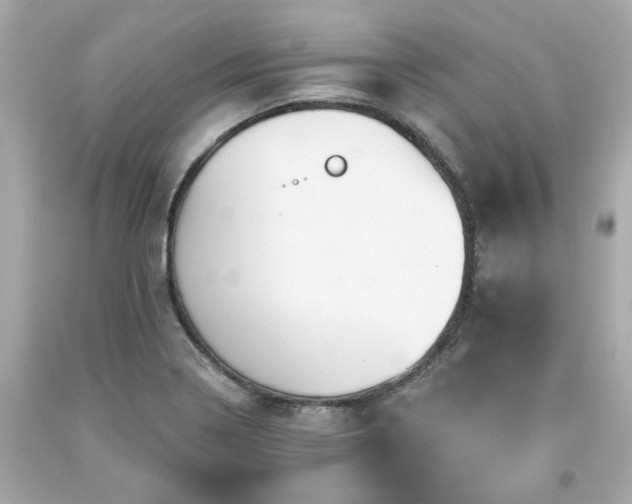 X0000094171322200711020931
