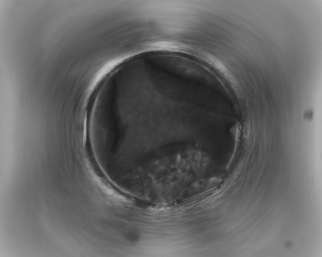 X0000094171323200711020931