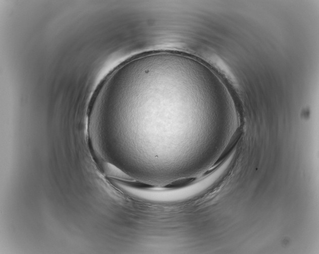 X0000094171324200711020931