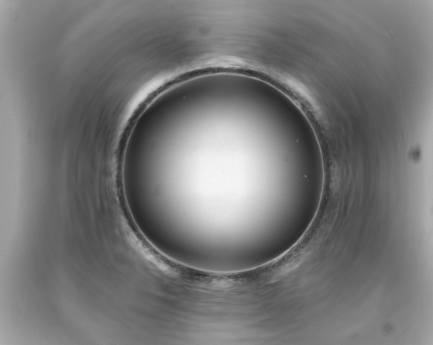 X0000094171326200711020931