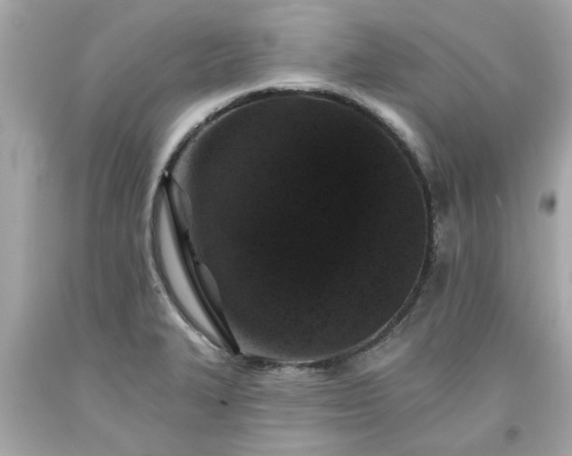 X0000094171327200711020931